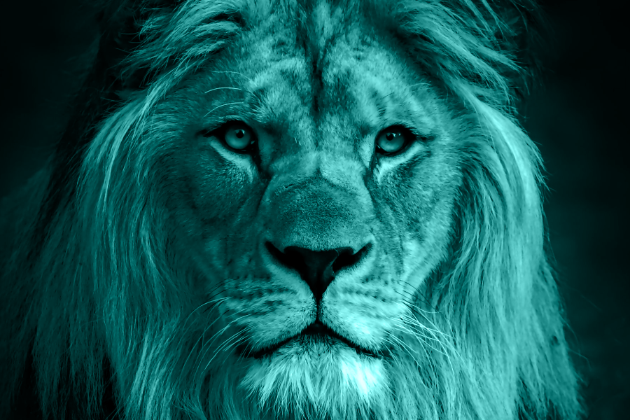 Imposto de Renda Pessoa Física